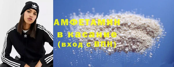 прущие грибы Вяземский