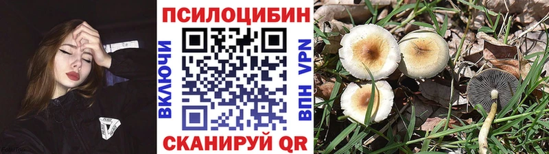 hydra онион  Сургут  Галлюциногенные грибы MAGIC MUSHROOMS  закладка 